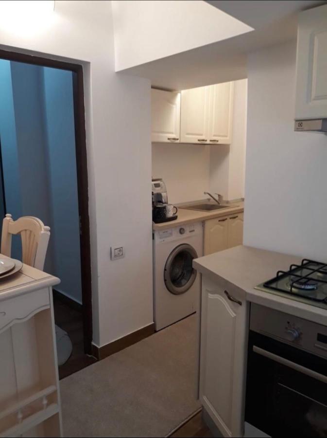Garsoniera Lux Centru Pietonal Tirgu - Jiu Apartman Zsilvásárhely Kültér fotó